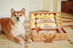 Cannoli Squeaky Dog Plush Toy