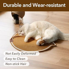 Cat Scratcher Mat with Cat Ball Toy