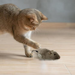 Cat Toy Realistic Mouse Shape Entertaining Toy