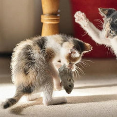 Cat Toy Realistic Mouse Shape Entertaining Toy