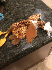 Chicken Stuffless Dog Toy with Squeaker For All Dogs