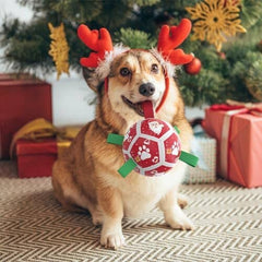 Christmas Dog Toys Soccer Ball with Straps