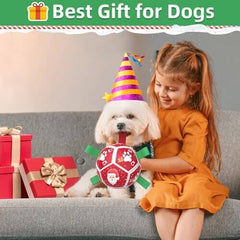 Christmas Dog Toys Soccer Ball with Straps