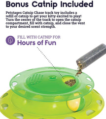 Circle Track with Moving Balls Satisfies Kitty’s Hunting