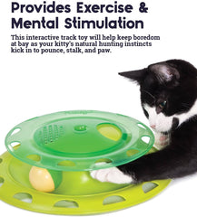 Circle Track with Moving Balls Satisfies Kitty’s Hunting