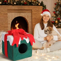 Comfortable Warm Cat Condo Tents in Winter