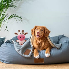 Cow Plush Dog Toy Squeaky