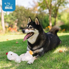 Crinkle Chicken Dog Toy