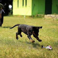 Cute Cow Shape Stuffed Plush Toy