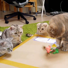 Cute Electric Butterfly/HummingBird Cat Teaser Toy