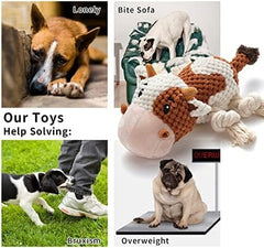 Cute Squeaky Dog Toys with Crinkle Paper