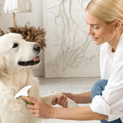 Dematting Comb Tool for Removing Matted Hair from Under Coat