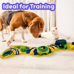 Digging Mat Encourages Interaction and Enhancing Pet Wellbeing
