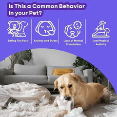 Digging Mat Encourages Interaction and Enhancing Pet Wellbeing