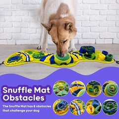 Digging Mat Encourages Interaction and Enhancing Pet Wellbeing