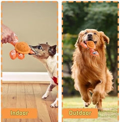 Dog Chew Toy for Teeth Cleaning