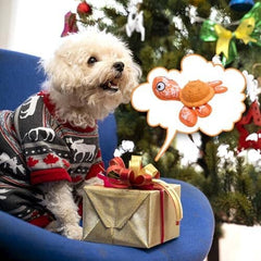 Dog Chew Toy for Teeth Cleaning