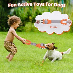 Dog Chew Toys for Large Dogs