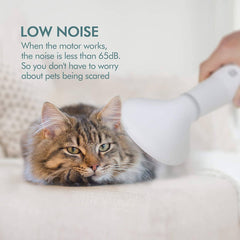 Dog Hair Dryer Brush Dog Blow Dryer with Slicker Brush