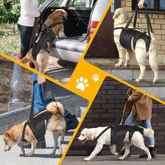 Dog Sling for Large Medium Dogs' Hind Leg for Assisted Mobility