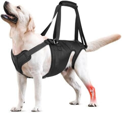 Dog Sling for Large Medium Dogs' Hind Leg for Assisted Mobility