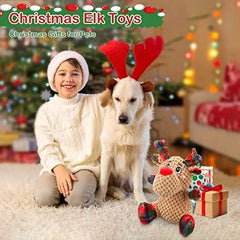 Dog Squeaky Toy with Crinkle Paper