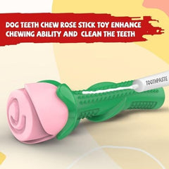 Dog Toys for Aggressive Chewers