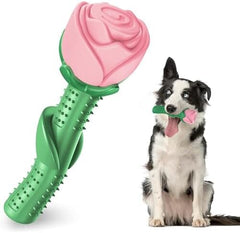 Dog Toys for Aggressive Chewers