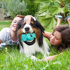Dog Toys for Aggressive Chewers