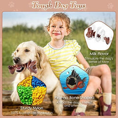 Dog Toys for Aggressive Chewers