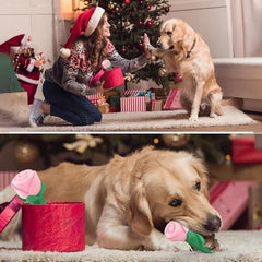 Dog Toys for Aggressive Chewers