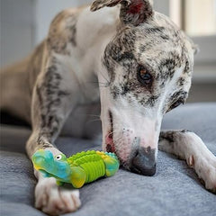 Dog Toys for Aggressive Chewers Dog Toys for Large Dogs