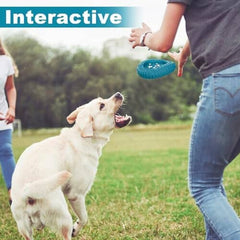 Dog Toys for Aggressive Chewers, Indestructible Dog Toy