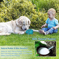 Dragon Egg Dog Chew Toys for Aggressive Chewers