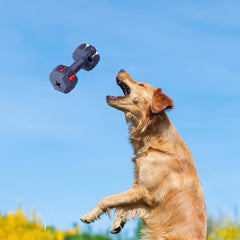 Dumbbell Indestructible Dog Teething Chew Toys