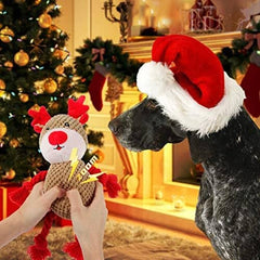 Durable Interactive Pet Toy for Aggressive Chewers with Crinkle Paper