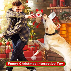 Durable Interactive Pet Toy for Aggressive Chewers with Crinkle Paper