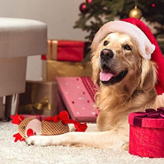 Durable Interactive Pet Toy for Aggressive Chewers with Crinkle Paper