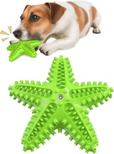 Durable Starfish Cleaning Toothbrush Toy