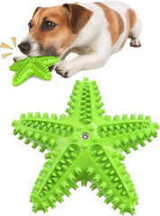 Durable Starfish Cleaning Toothbrush Toy