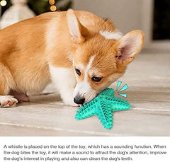 Durable Starfish Cleaning Toothbrush Toy