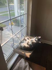 Easy Mount Scratcher Kitty Sill