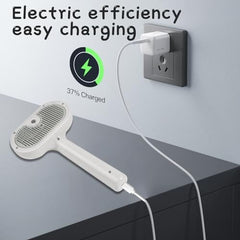 Electric Pet Spray Brush