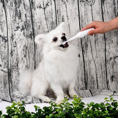 Electric Pet Toothbrush with Additional Brush Heads