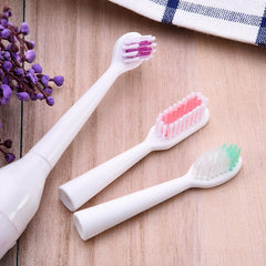 Electric Pet Toothbrush with Additional Brush Heads