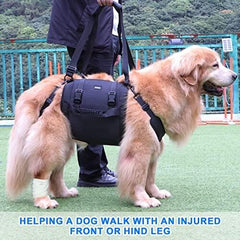 Emergency Backpack Pet Legs Support & Rehabilitation Dog Lift Harness for Large Dogs