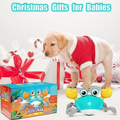 Escaping Crab Dog Toy with Obstacle Avoidance Sensor