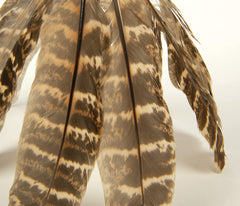 Fox Feathered Cat Toy