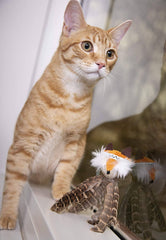 Fox Feathered Cat Toy