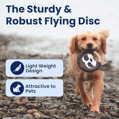 Fox Flying Disc Dog Toys Tug-of-War Toy